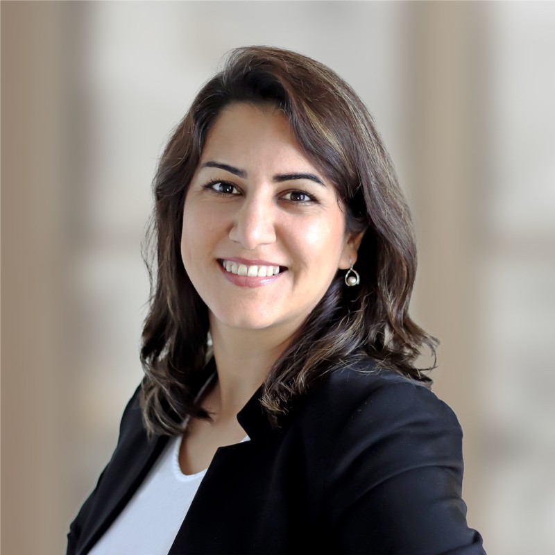 Soodeh Farokhi, Docteure en informatique technique
